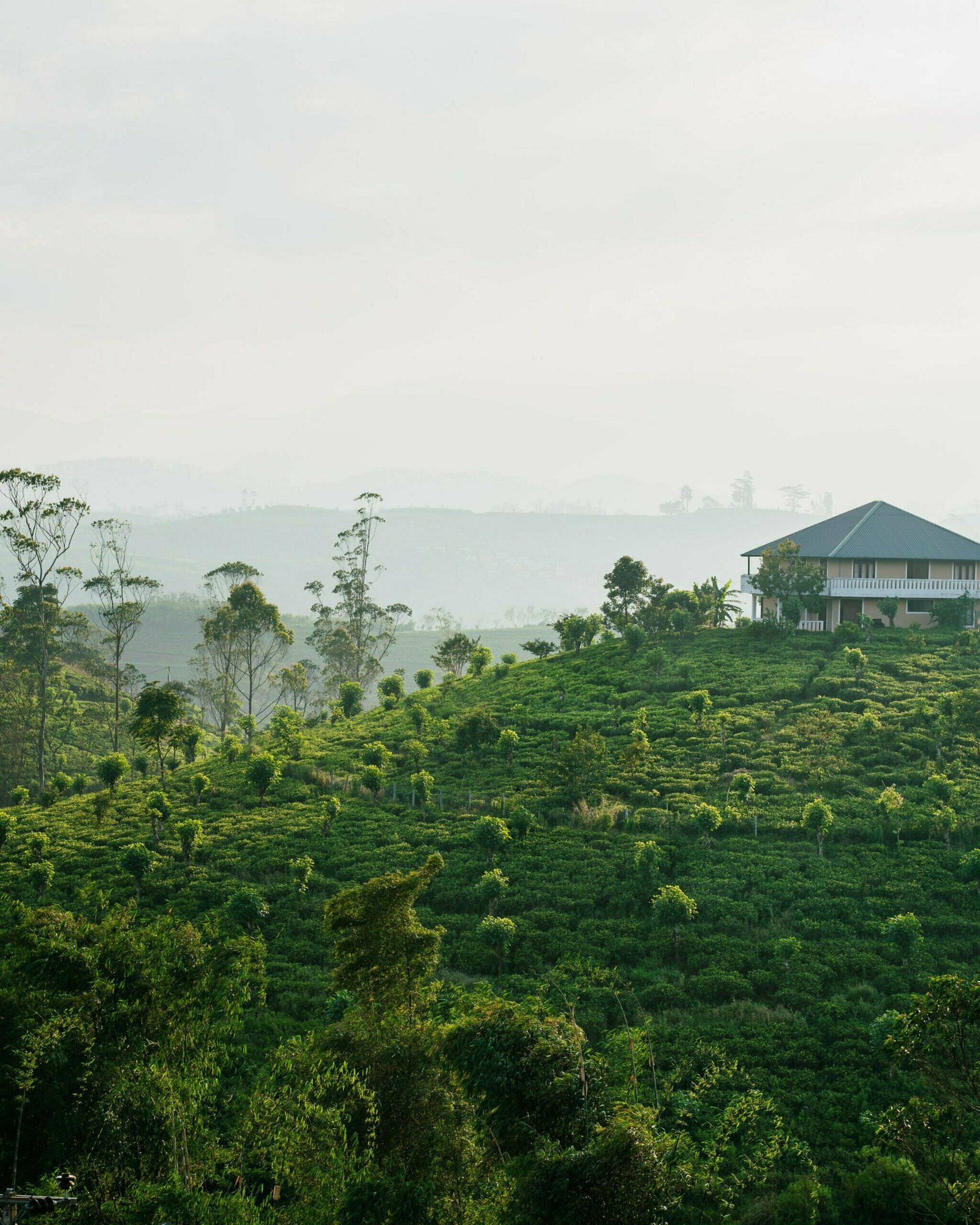 Sri Lanka